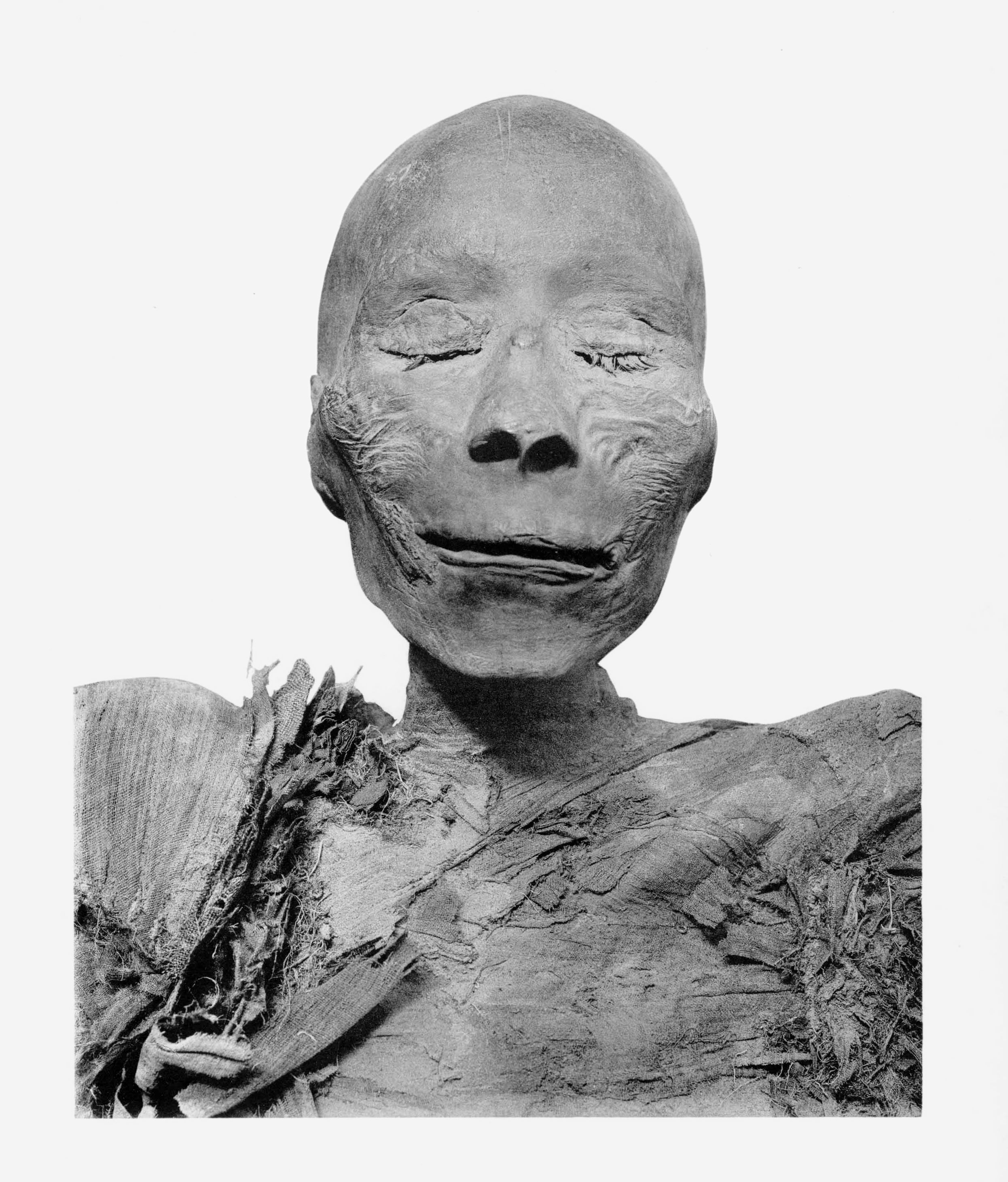 [Image: the-mummy-of-thutmose-i.png]